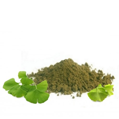 Ginkgo Leaf Powder